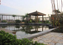 �ݶ���԰����